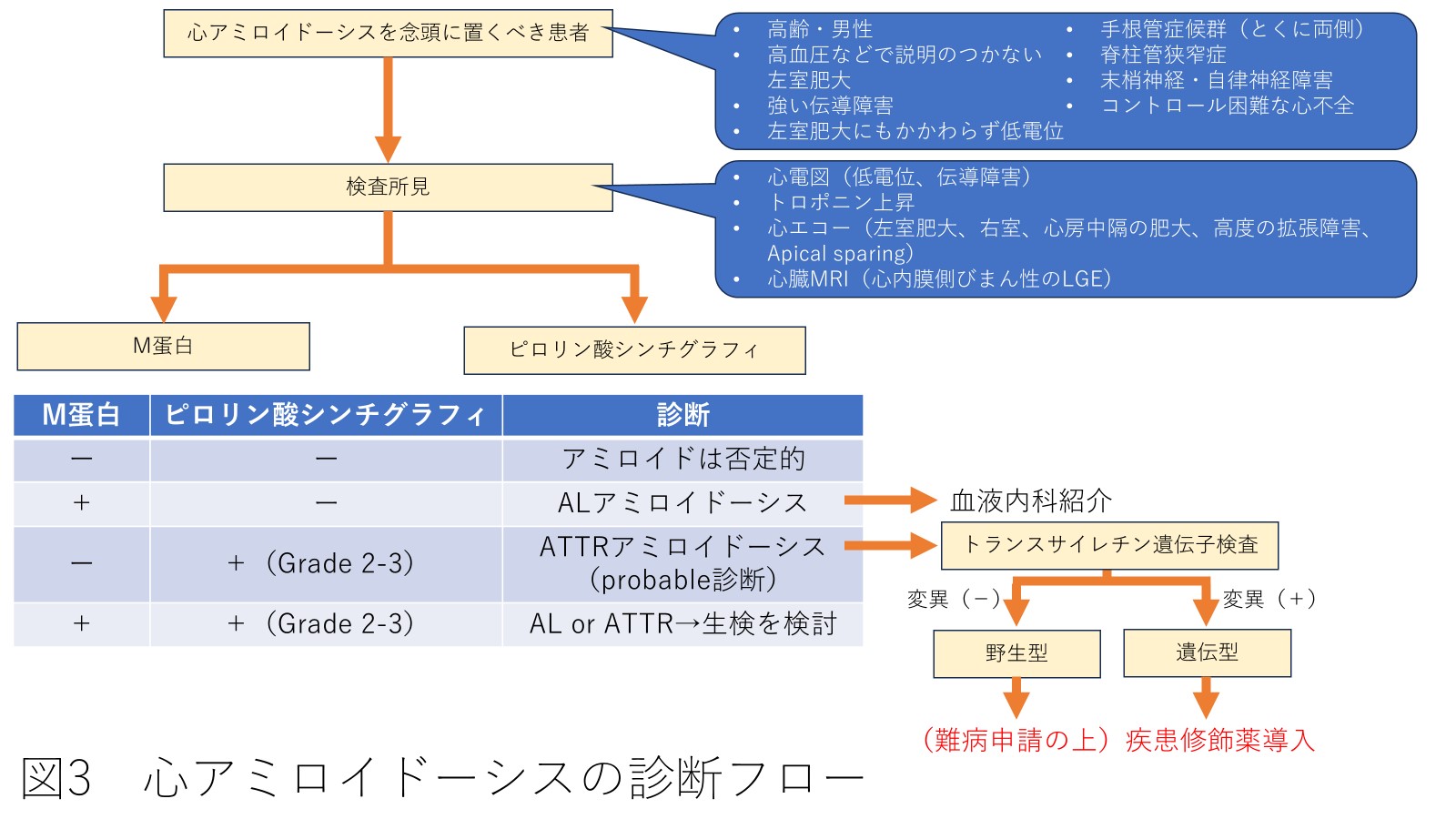 図３心アミロイドーシスの診断フロー写真
